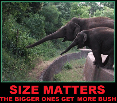 Screenshot_2020-04-16 size-matters-the-bigger-ones-get-more-bush-~blane~-25886432 png (PNG Image, 500 × 507 pixels)
